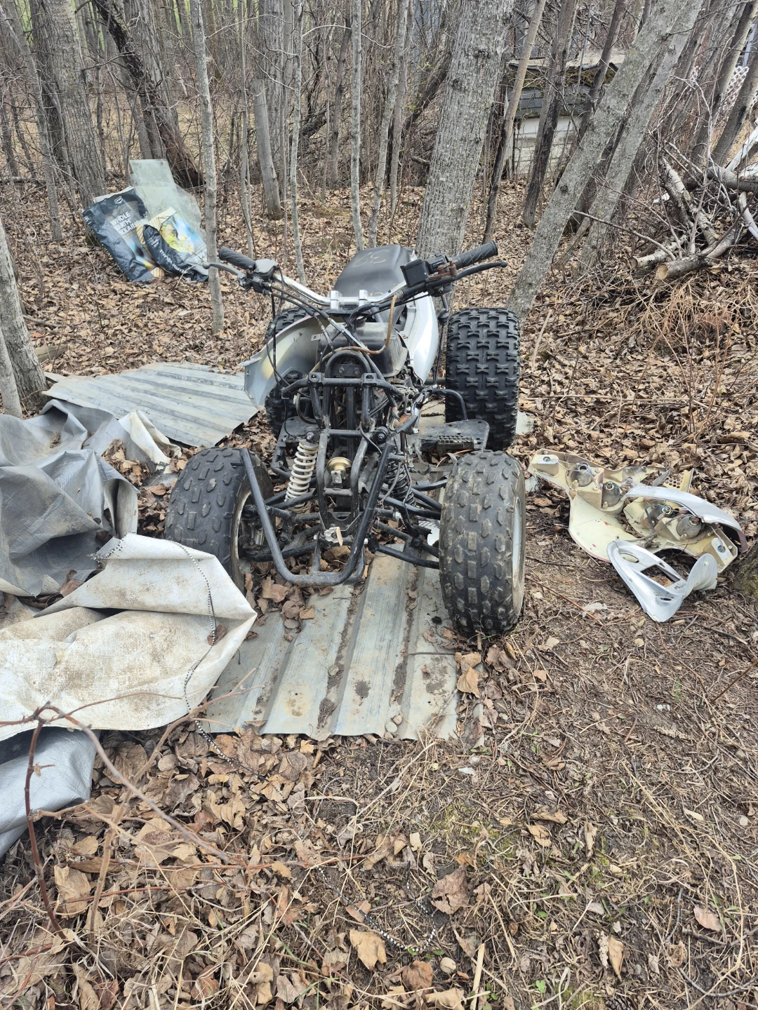 Silver Chinese quad 110cc