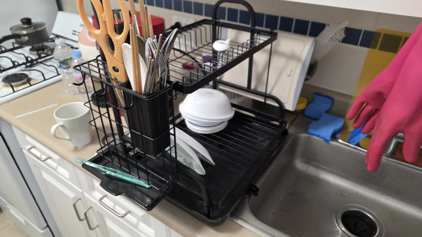 Black 2-Tier Dish Rack with Utensil Holder