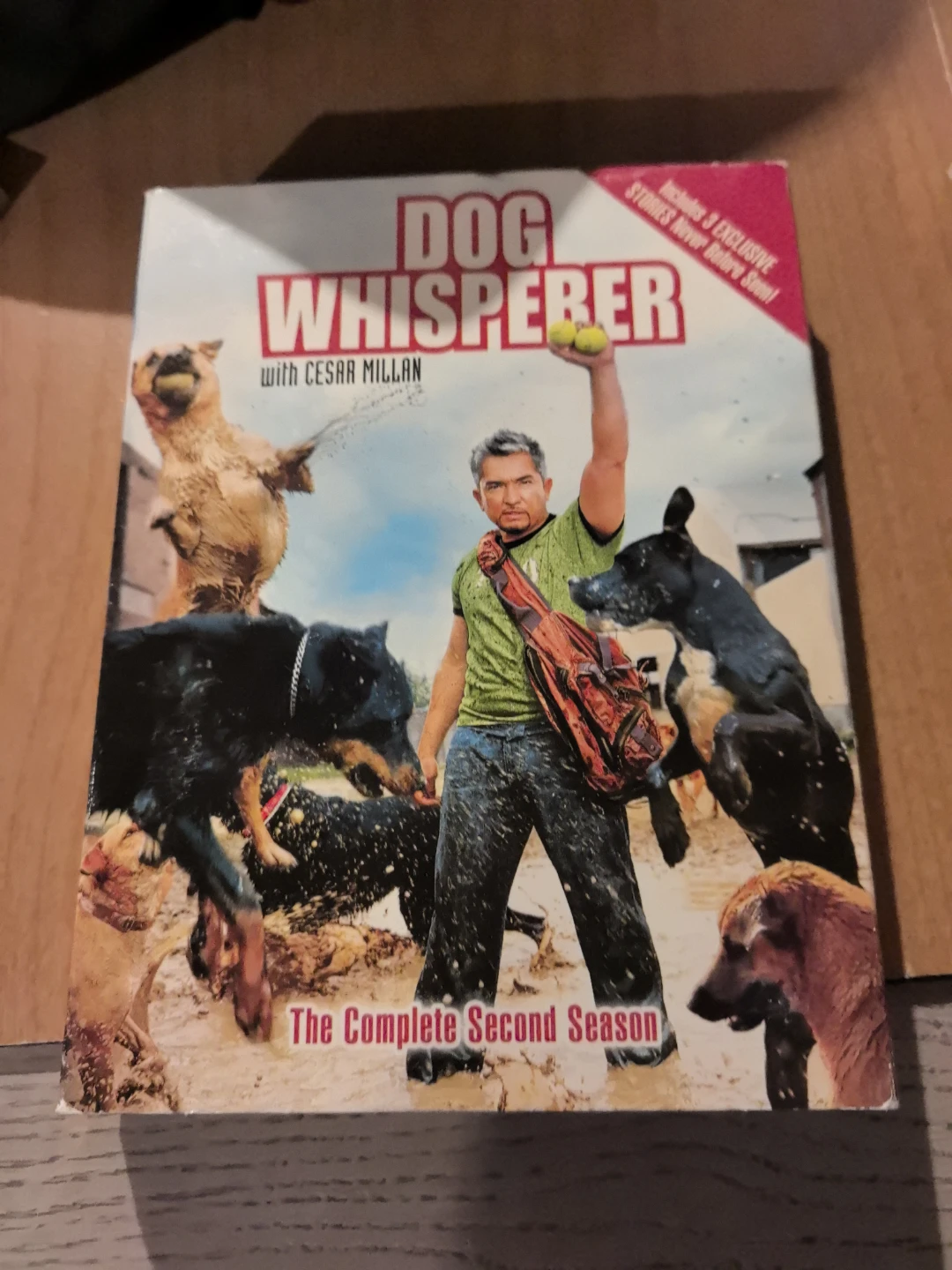 Dog Whisperer with Cesar Millan - The Complete Second Season DVD