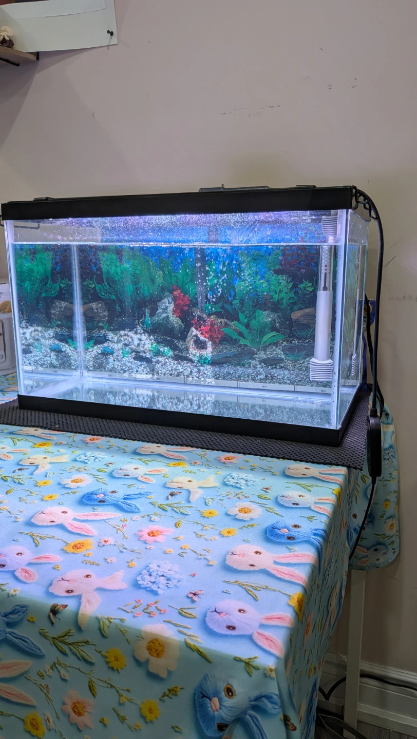 Aquarium Fish Tank with Filter - photo 2