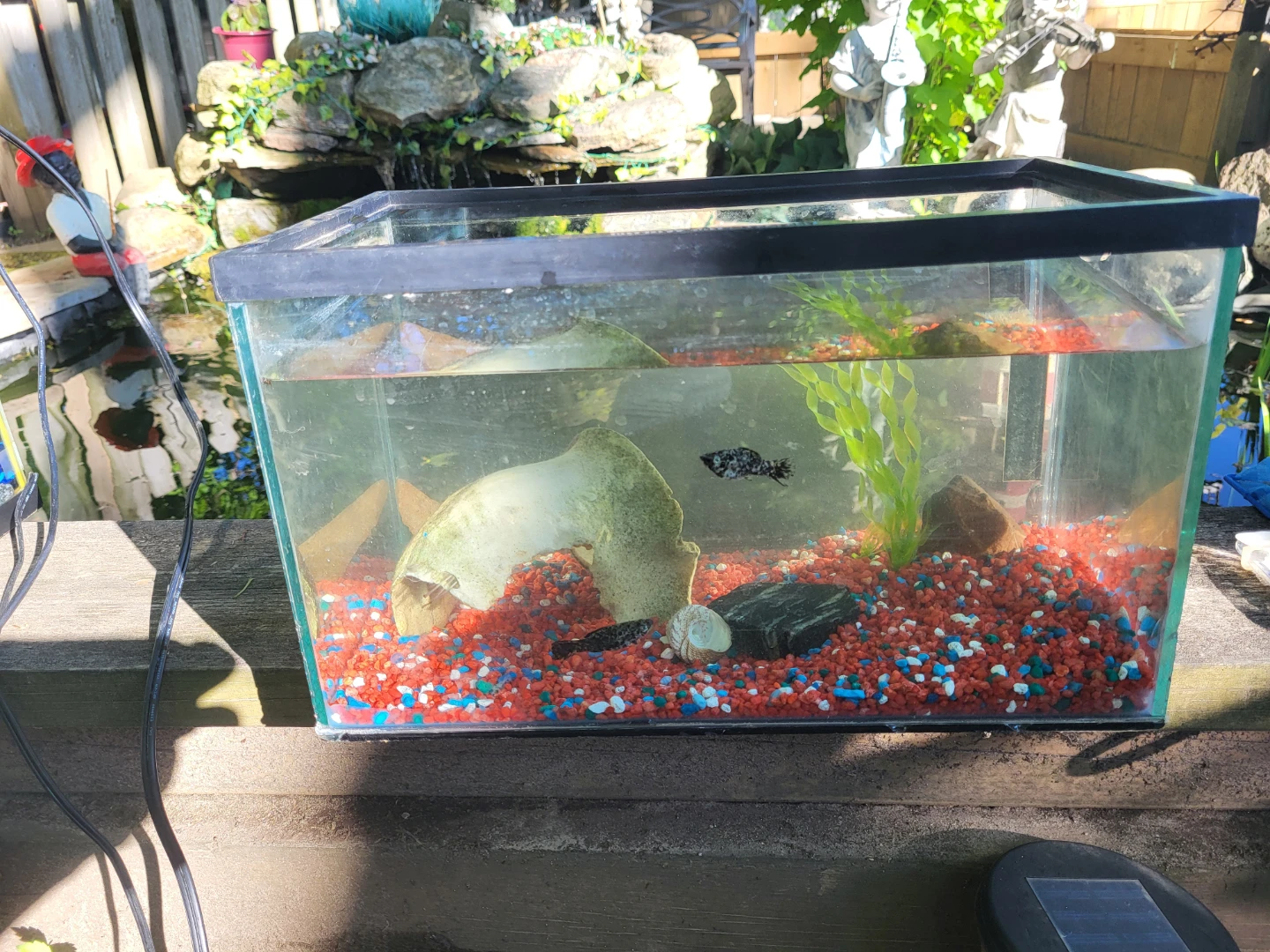 Small Fish Tank with Gravel and Decorations