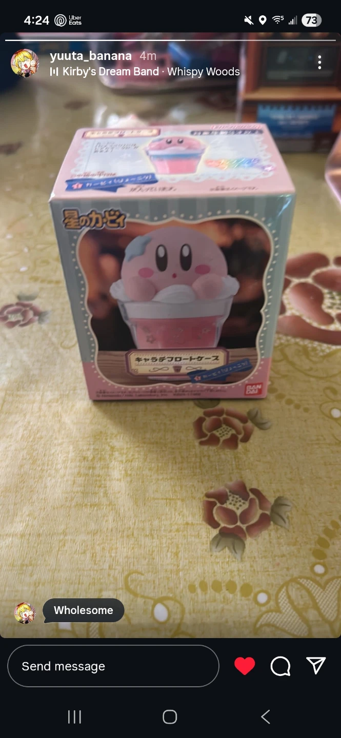 Kirby's Dream Band - Character Float Case