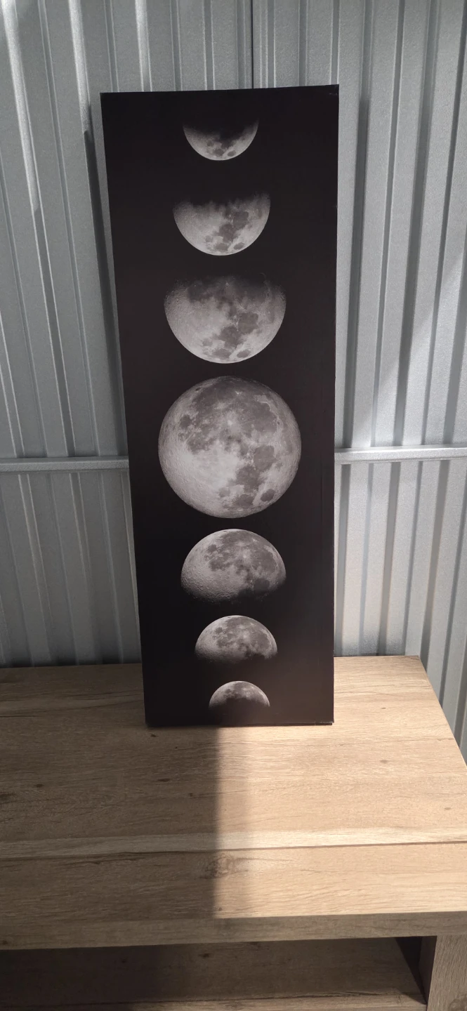 Moon Phase Wall Art