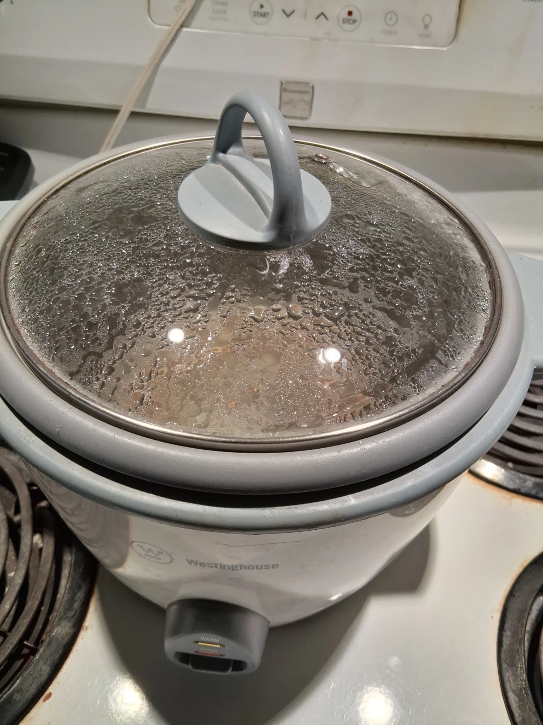 Westinghouse Rice Cooker 5 cup - photo 2