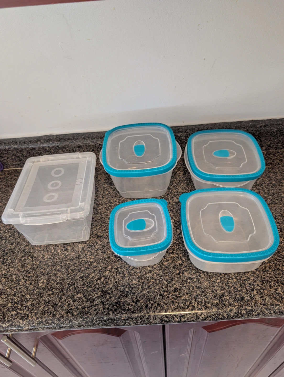Set of 5 Plastic Food Storage Containers