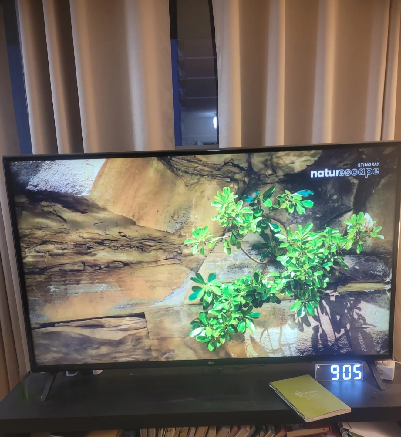 LG 65" 4K Smart TV - webOS (Moving Sale) - photo 2