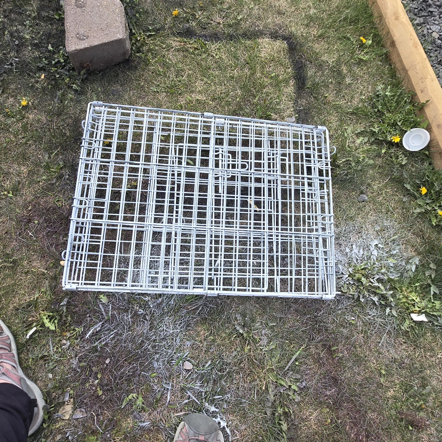 Wire Pet Crate