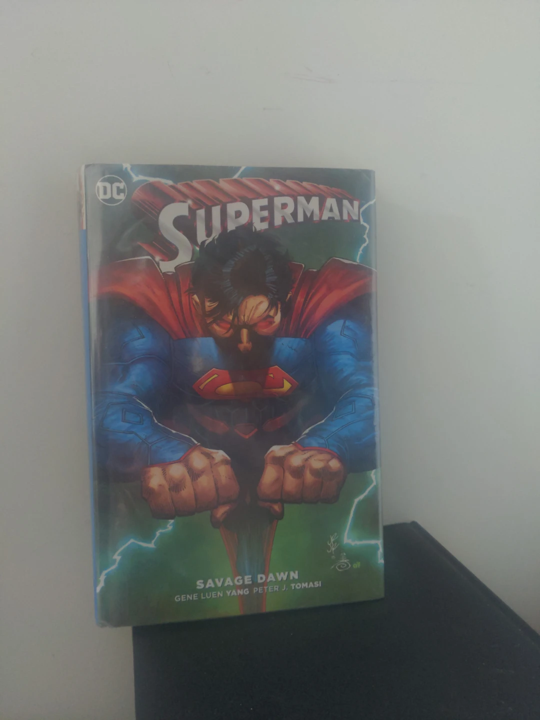 Superman: Savage Dawn Graphic Novel