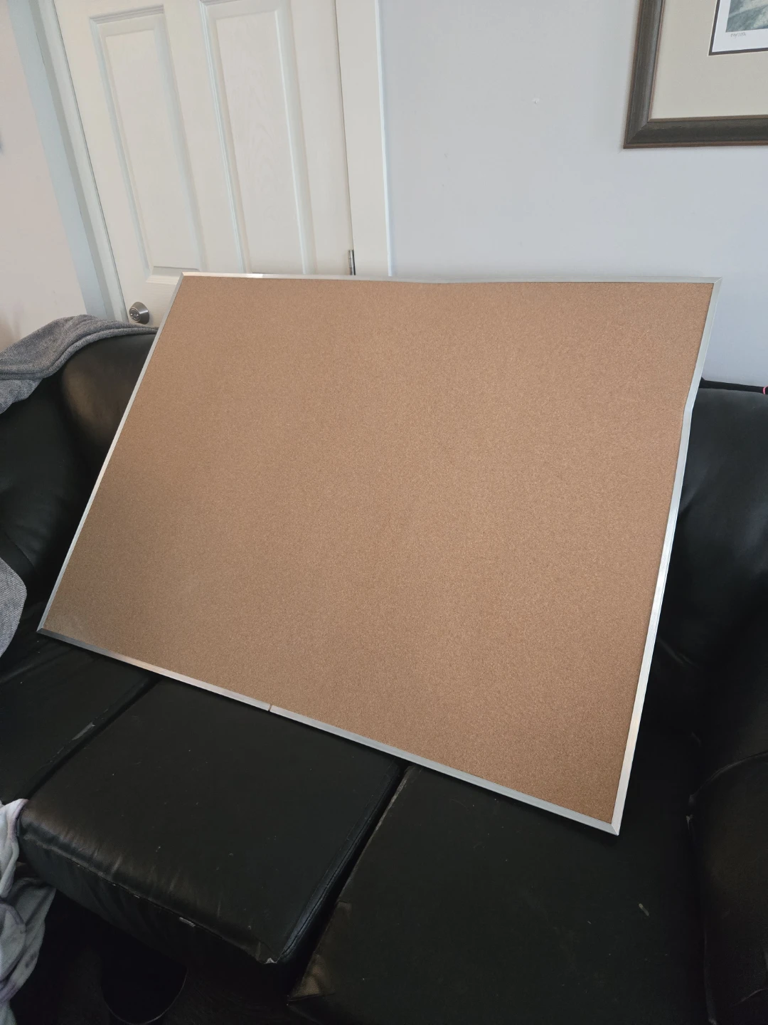 Large Cork Bulletin Board
