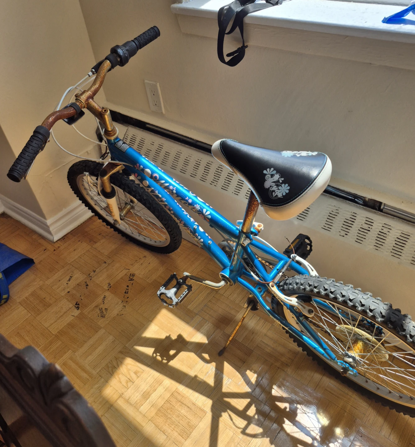 Blue Kids Bike for women
