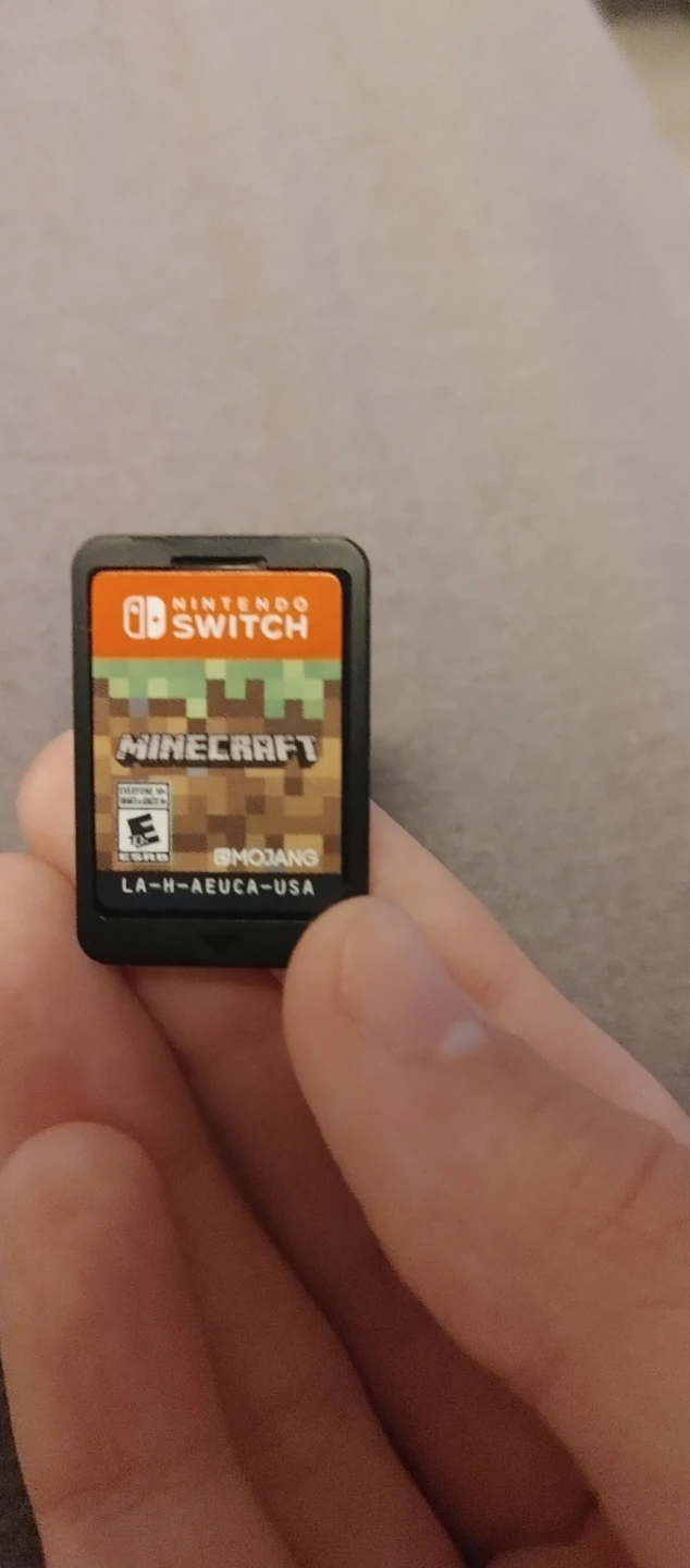 Nintendo Switch Minecraft chip