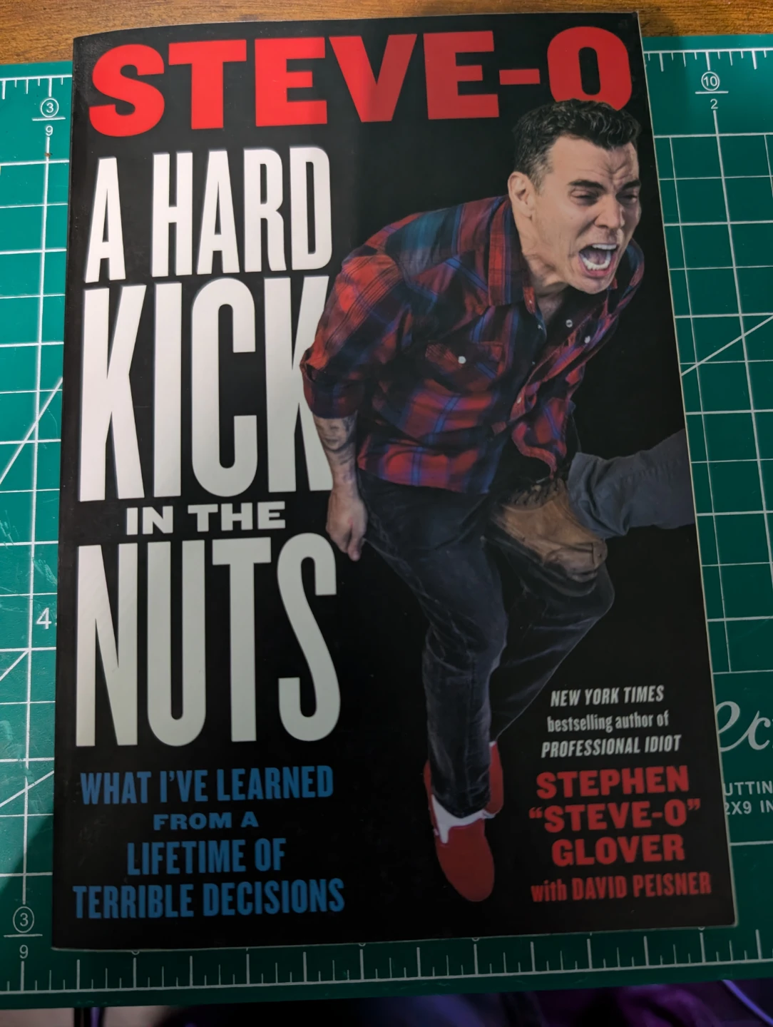 A Hard Kick in the Nuts by Steve-O