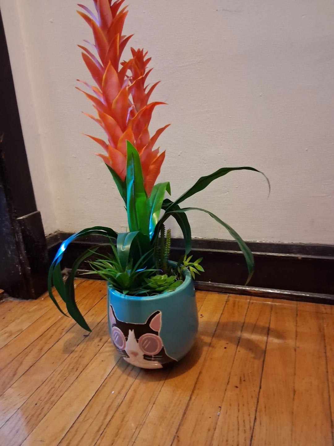 Cute Cat Ceramic Planter Pot