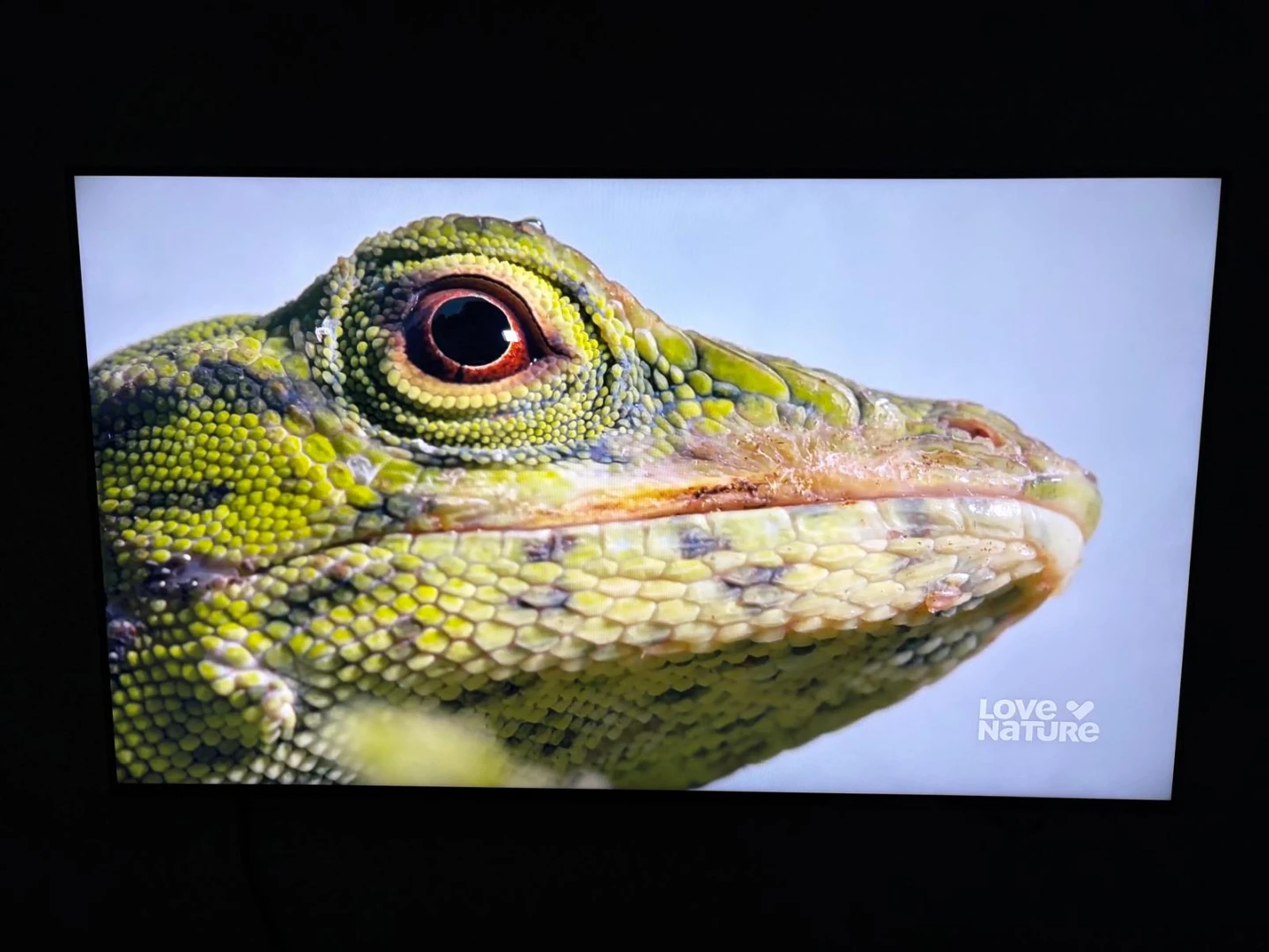 Sony BRAVIA XR 65" X90J 4K TV - photo 5