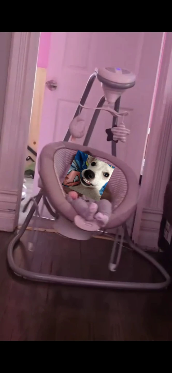 Graco Baby Swing