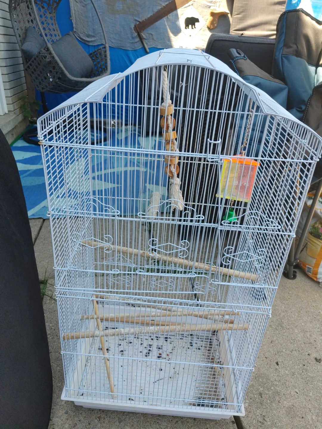White bird cage with perches and feeder