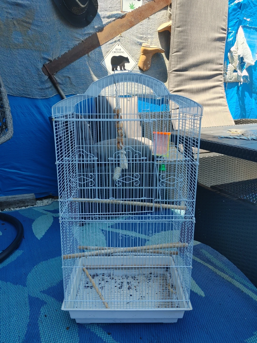 White bird cage with perches and feeder - photo 3