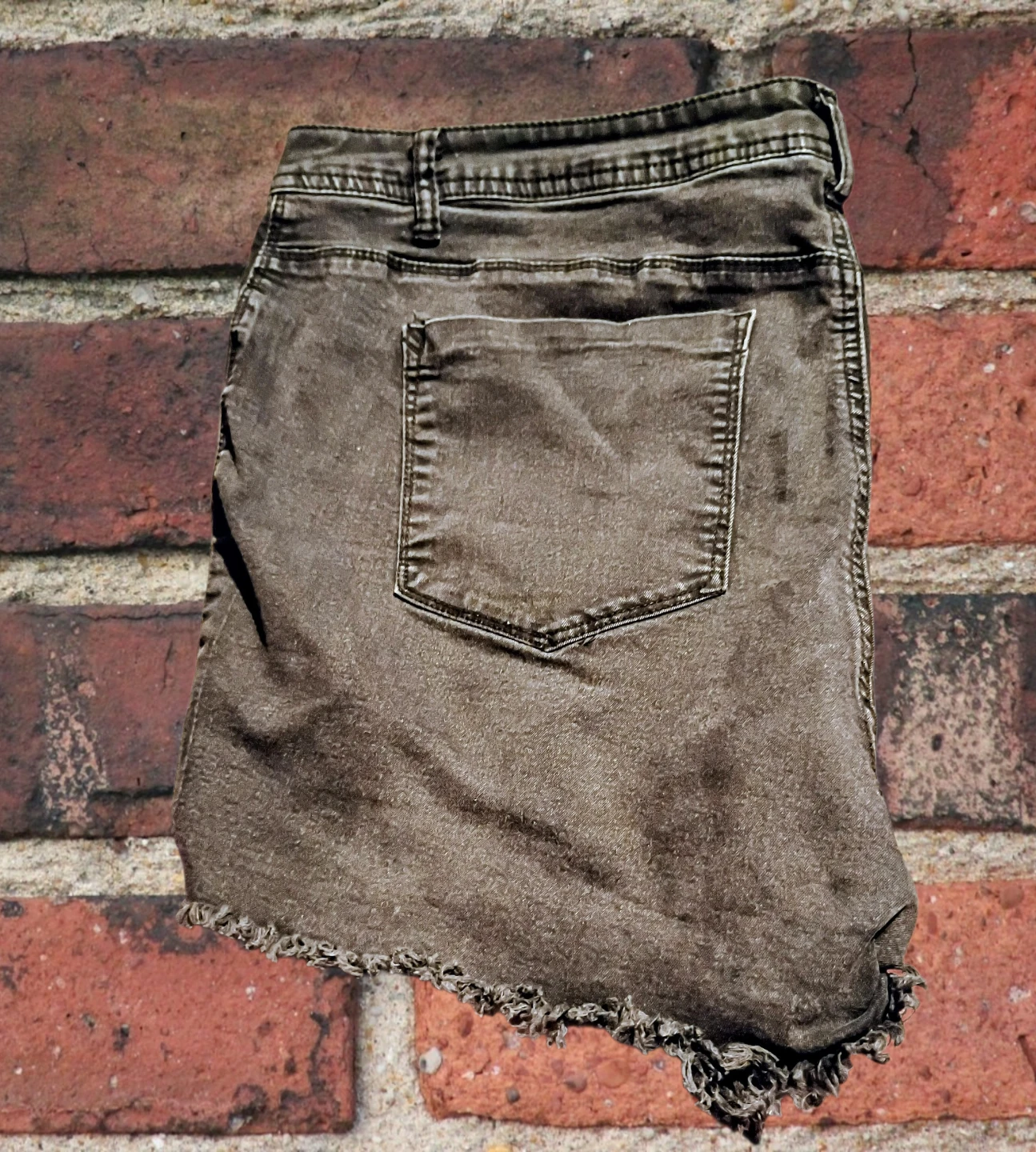 Women's jean shorts by Adriano Goldschmied (AG) size 22..