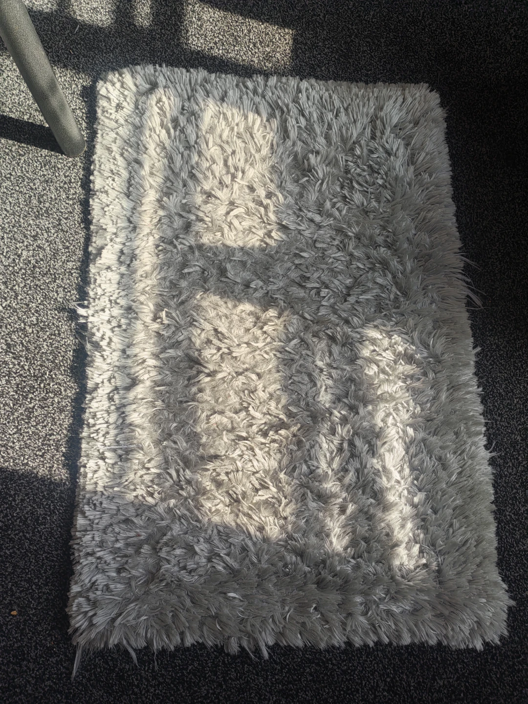 Soft Shaggy Rug
