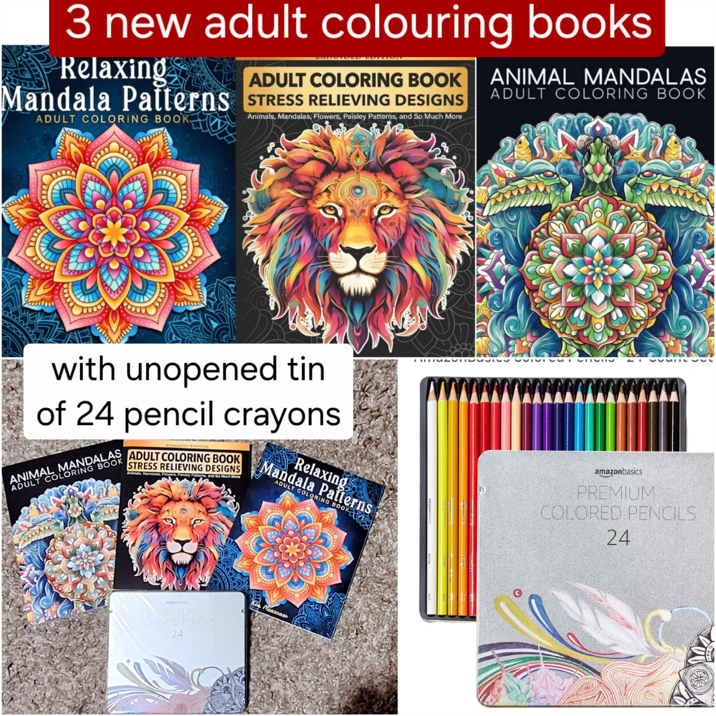 Colouring Books and Pencil Crayons set - NEW