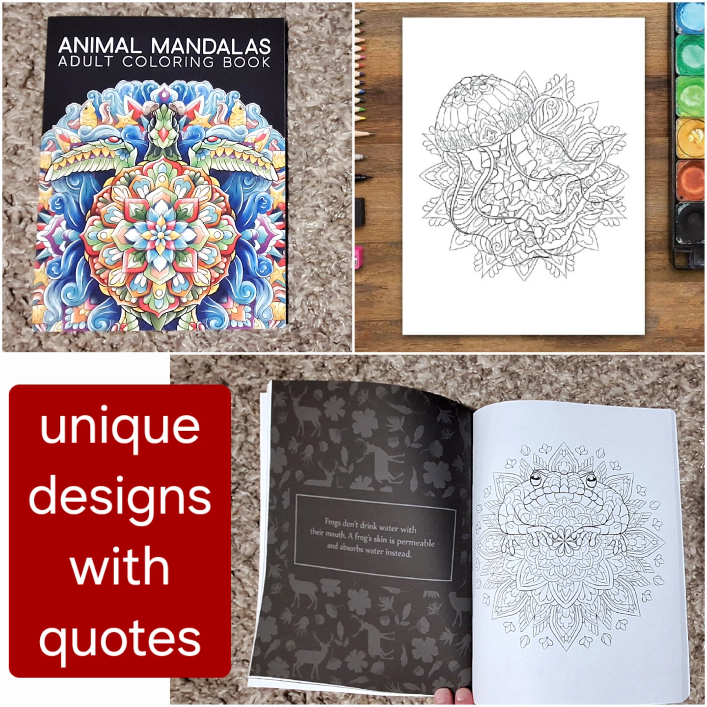 Colouring Books and Pencil Crayons set - NEW - photo 4