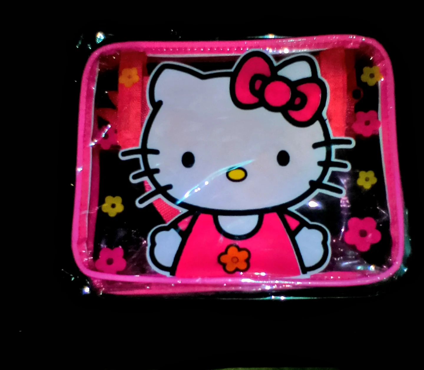 Hello Kitty Clear Pouch