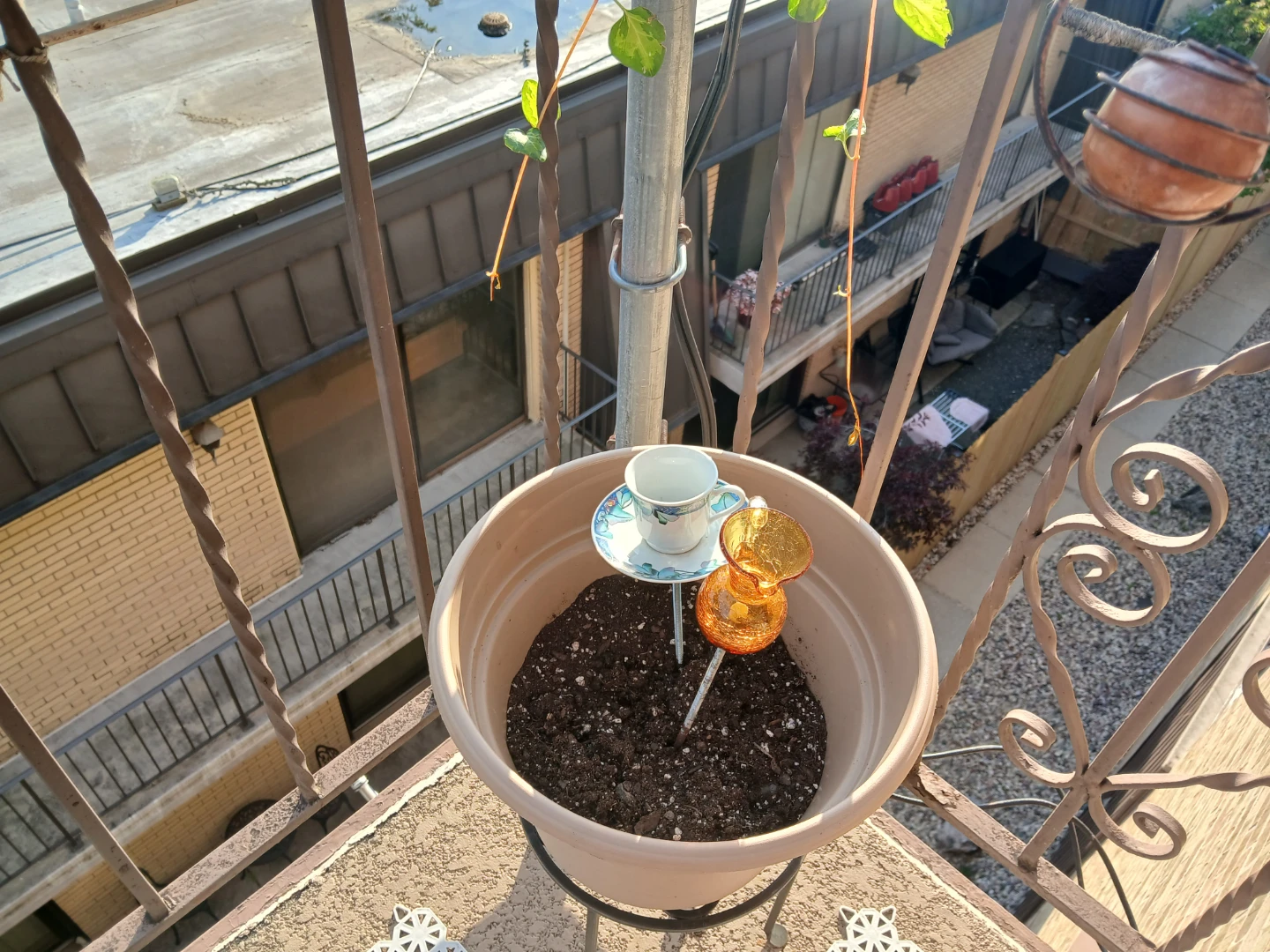 Plant pot and patio decorations