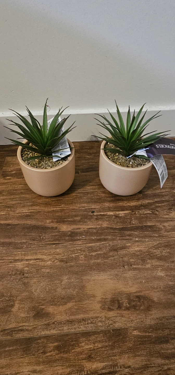 Set of 2 Faux Succulents in Pink Ceramic Pots