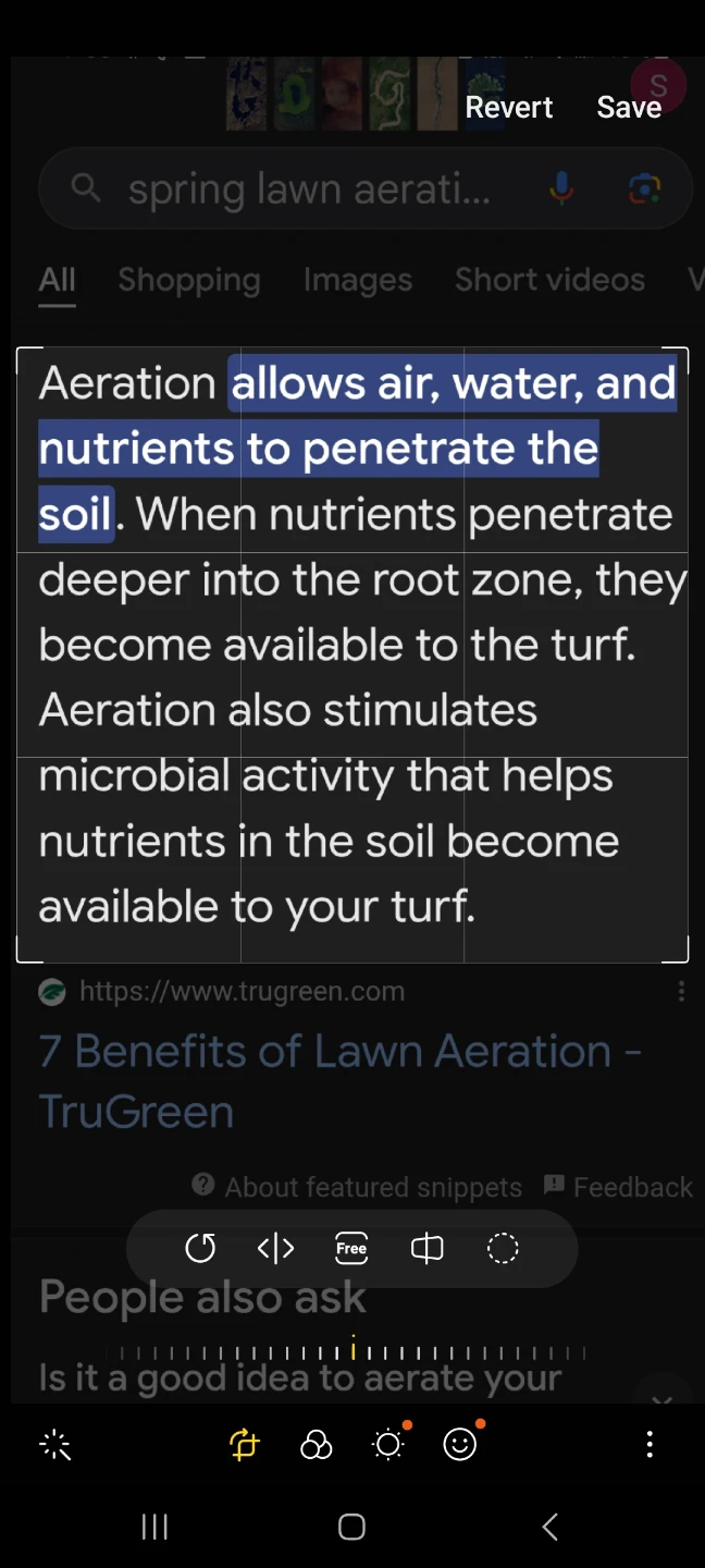 Lawn Aeration - photo 2