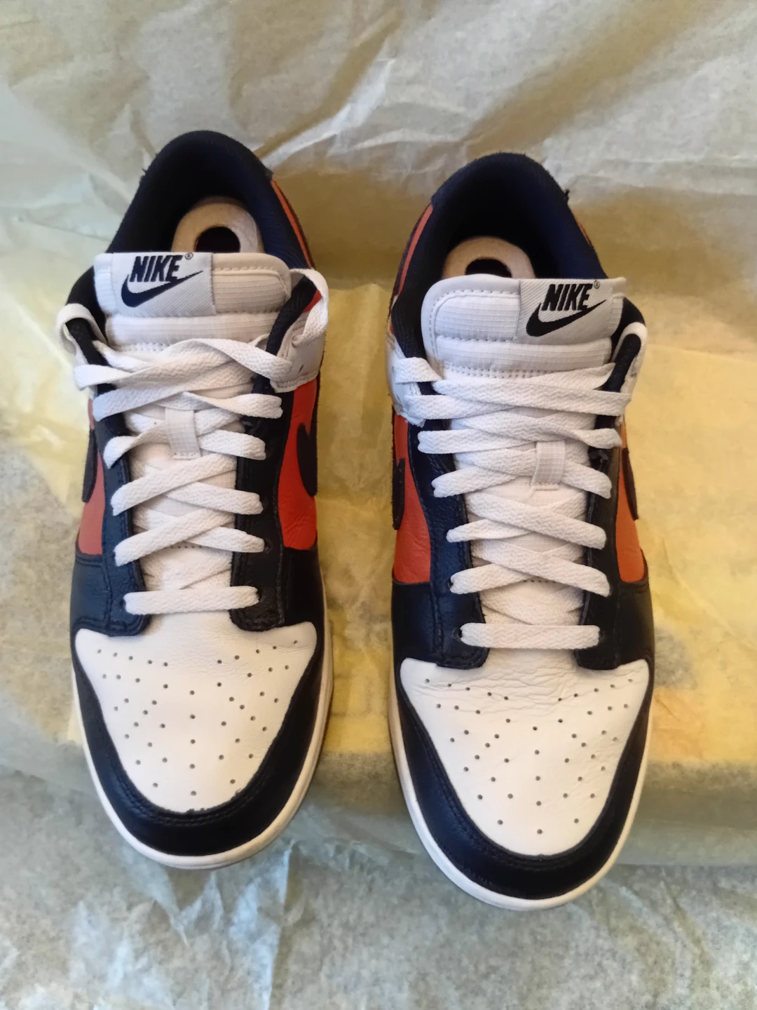 Nike Dunk Low Sneakers