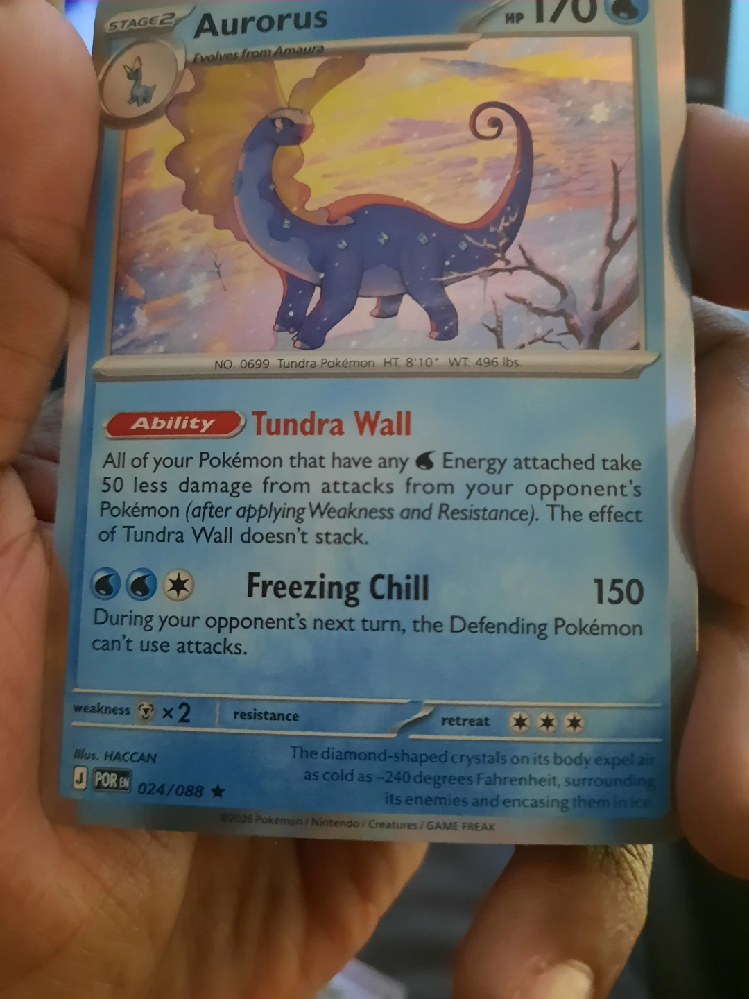 Pokemon Tundra Pokémon Aurorus Card 024/088