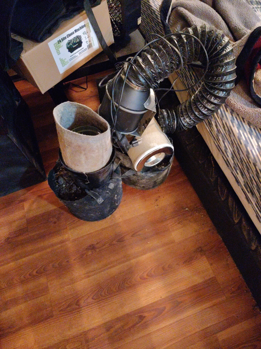 Growing Fan