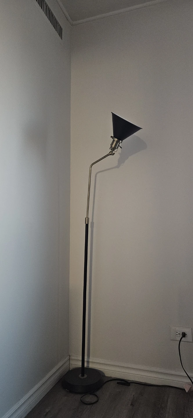 Adjustable Floor Lamp