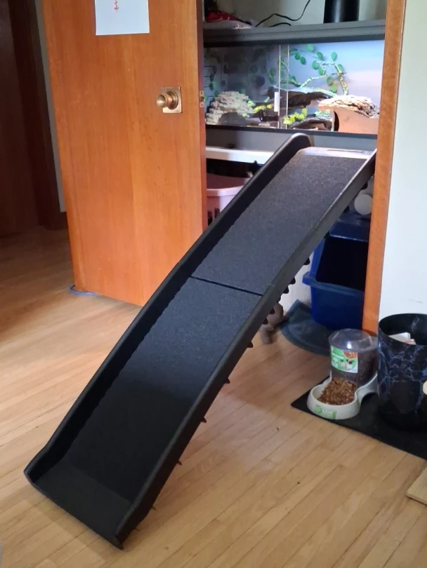 Black Pet Ramp