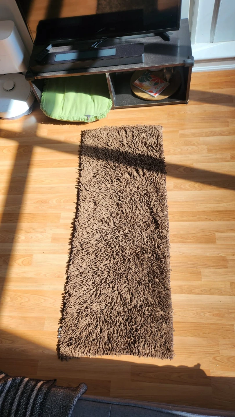 Brown Shaggy Rug