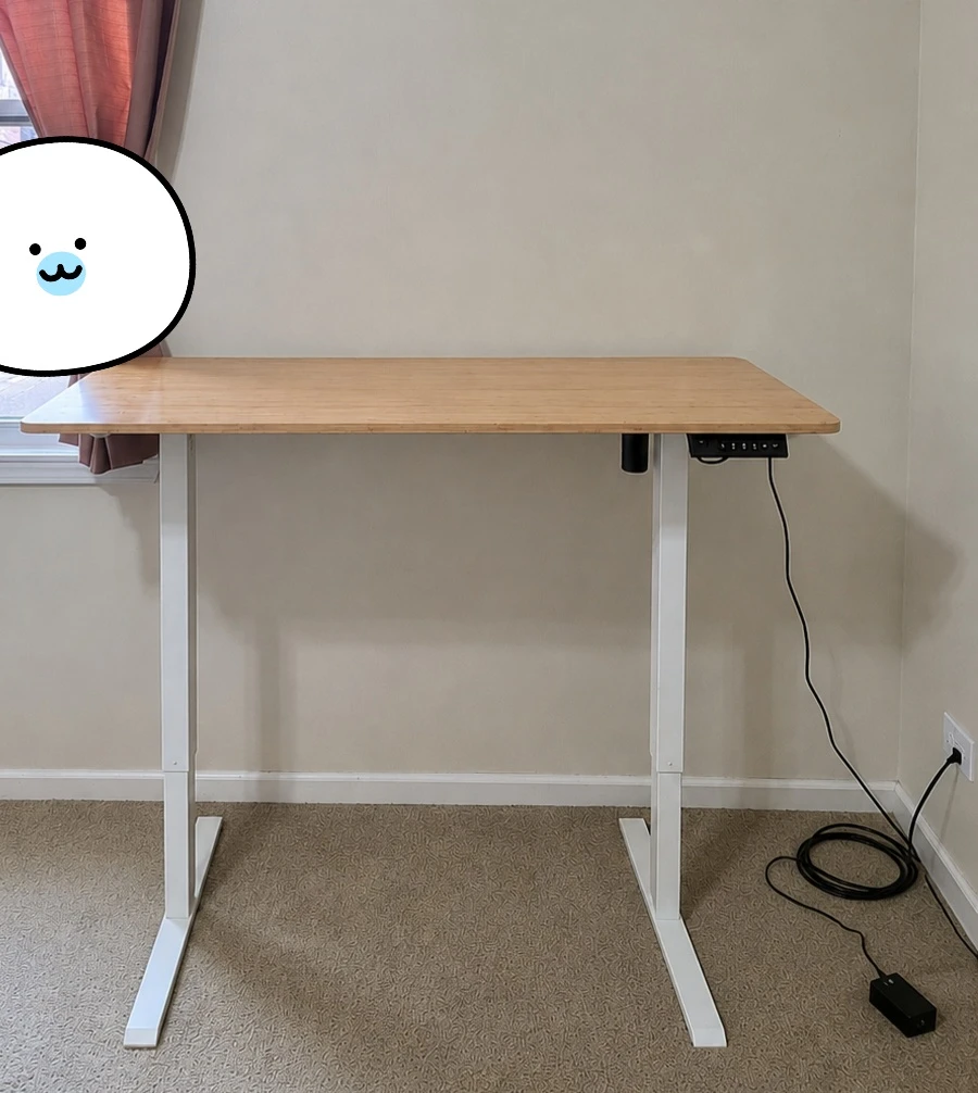 ErGear Electric Standing Desk 48x24 inch Bamboo