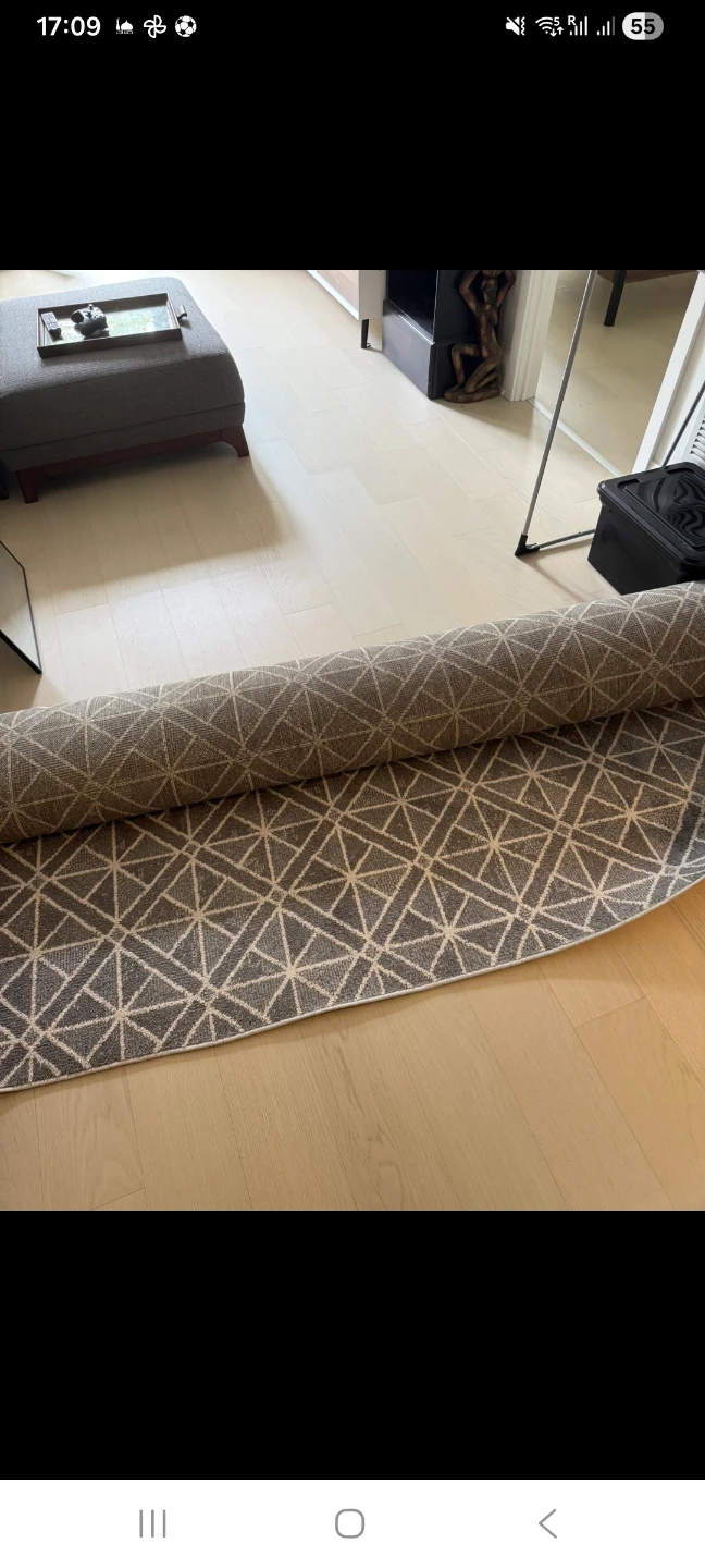 Geometric Pattern Area Rug