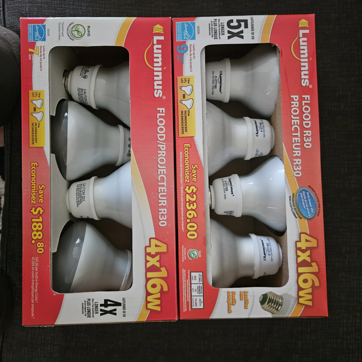 Luminous Flood Lights.