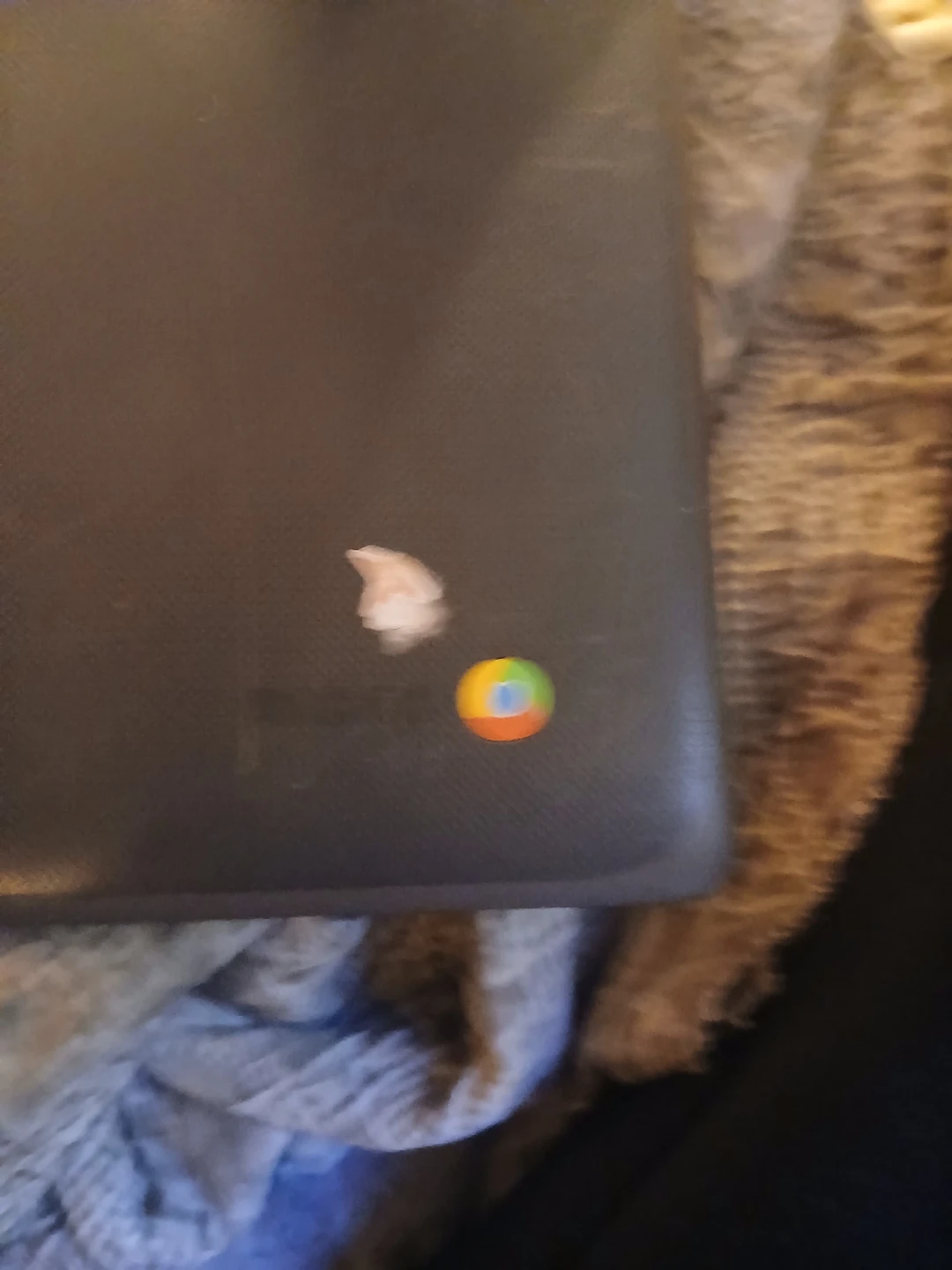 HP Laptop - photo 3