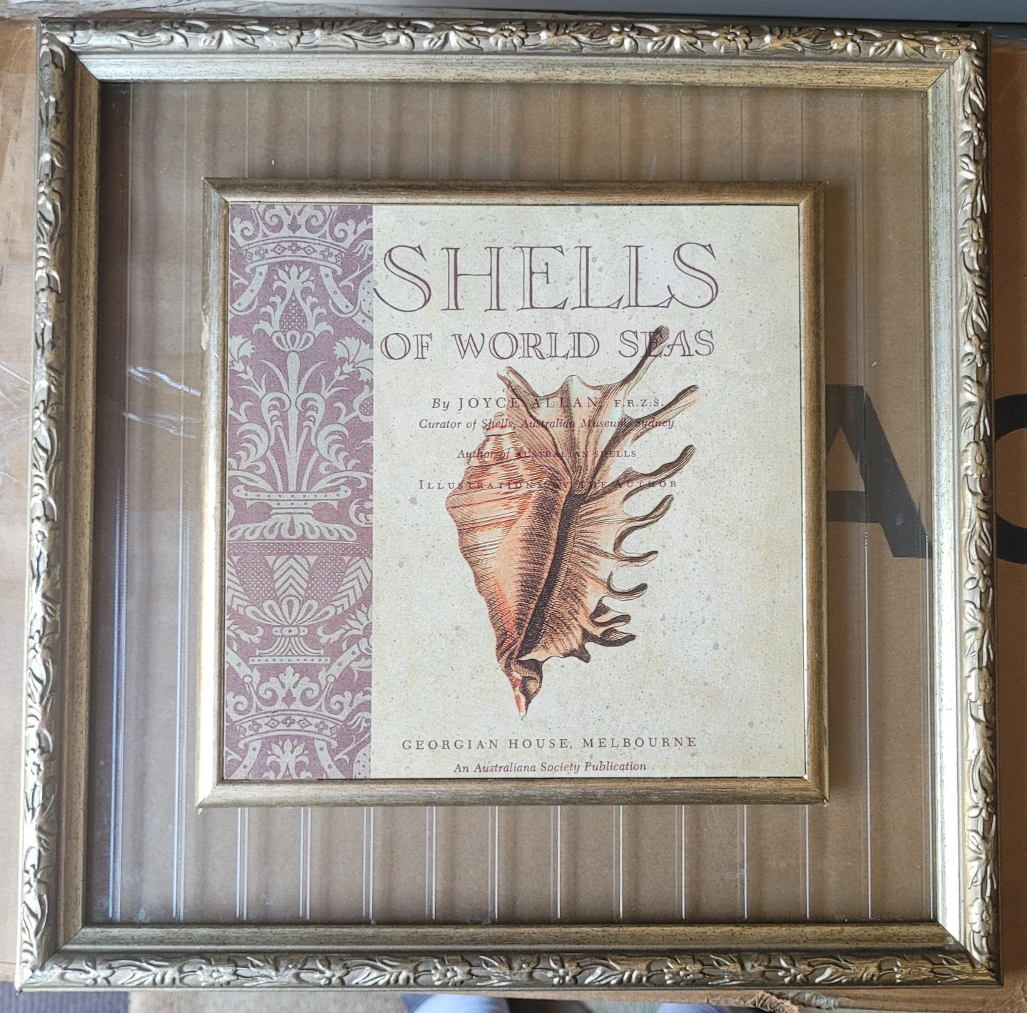 Framed Art Print "Shells of World Seas"