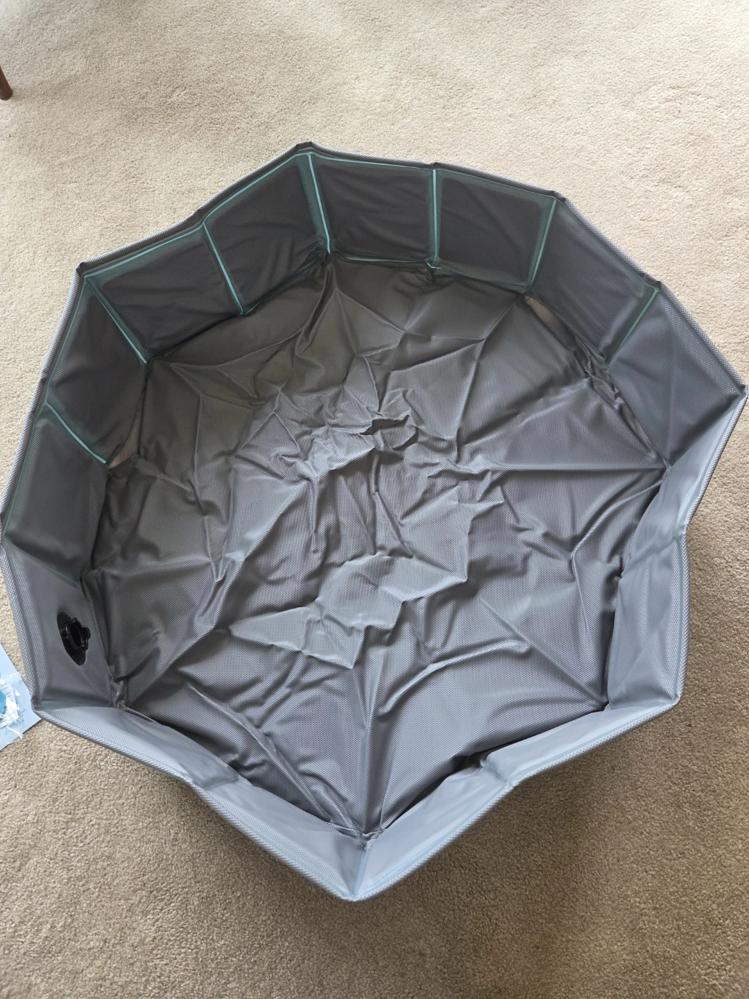 Heart to Tail Medium Collapsible Pet Pool 32 in. - photo 3
