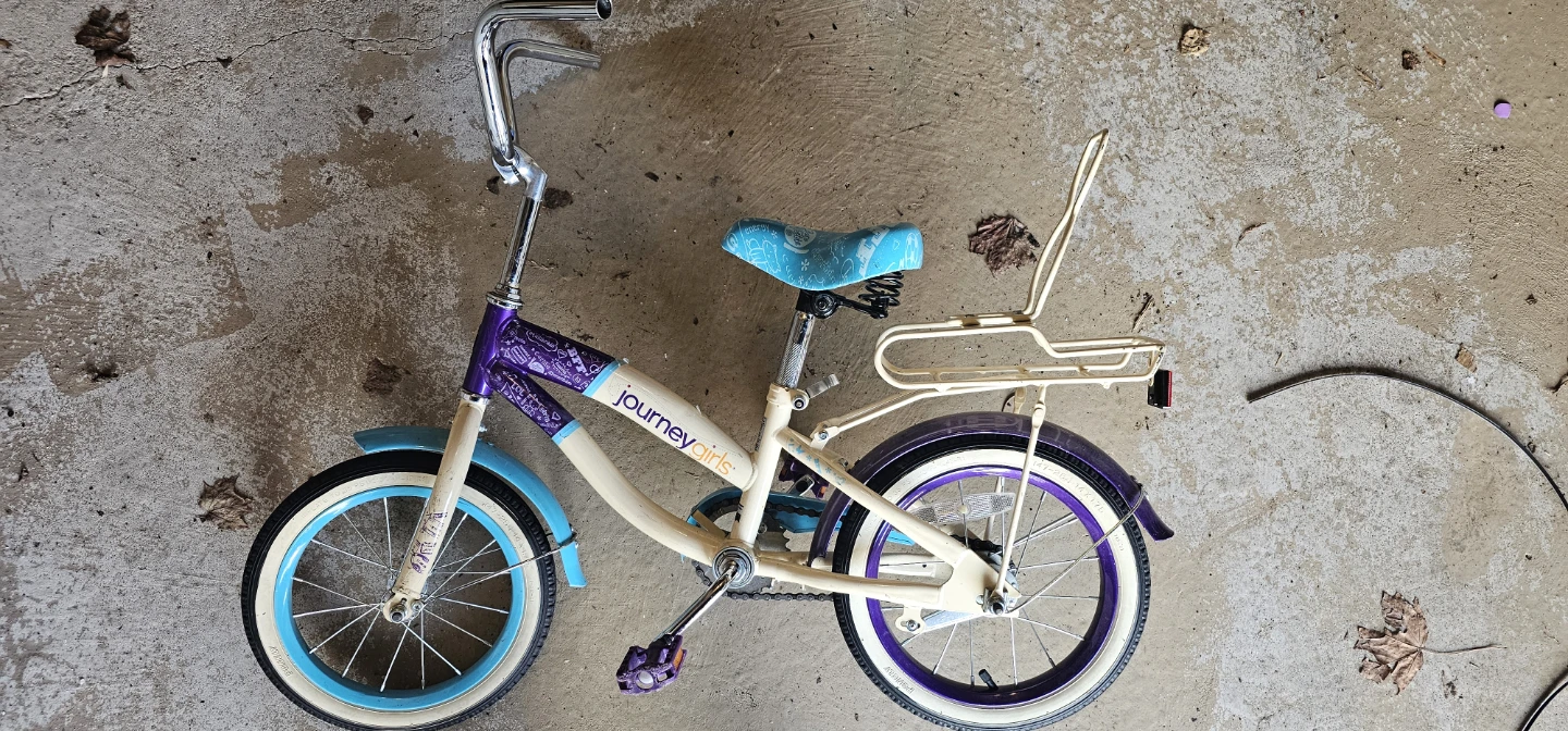 Journey Girls Kids Bike