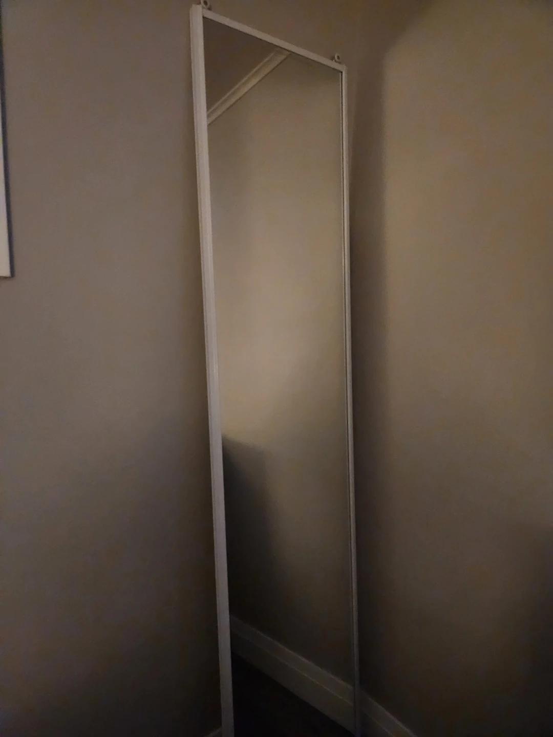 2 mirrored sliding closet doors - photo 4