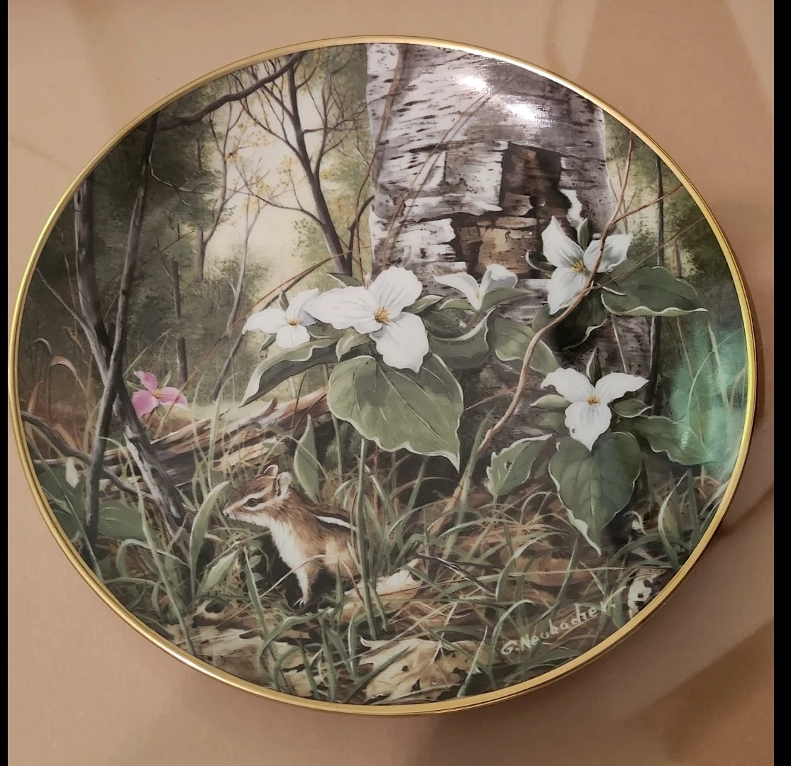 Kaiser G. Neubaher "Wild Flowers" Collector Plate - photo 4