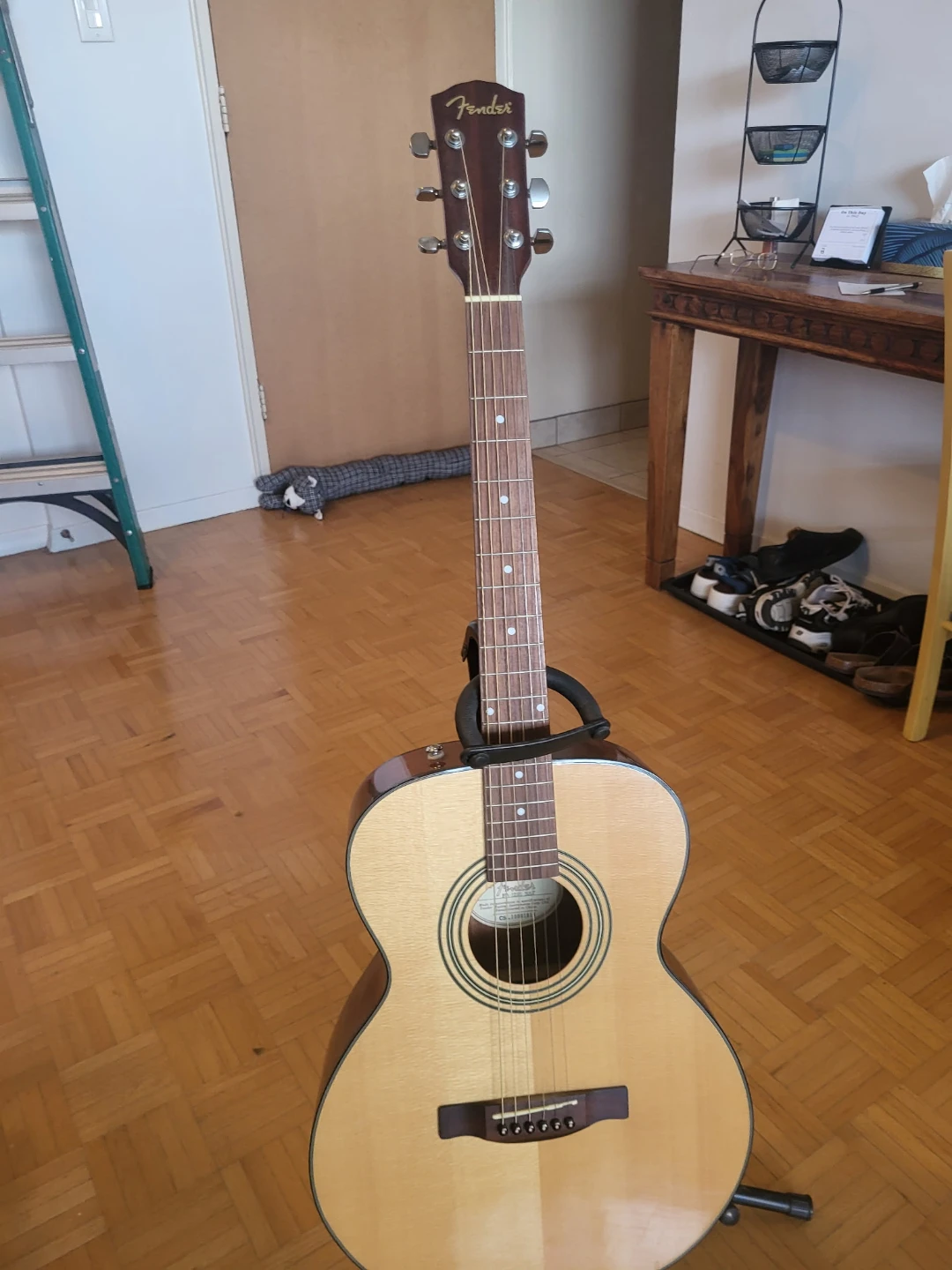 Fender Acoustic Guitar with Gig Bag - photo 2