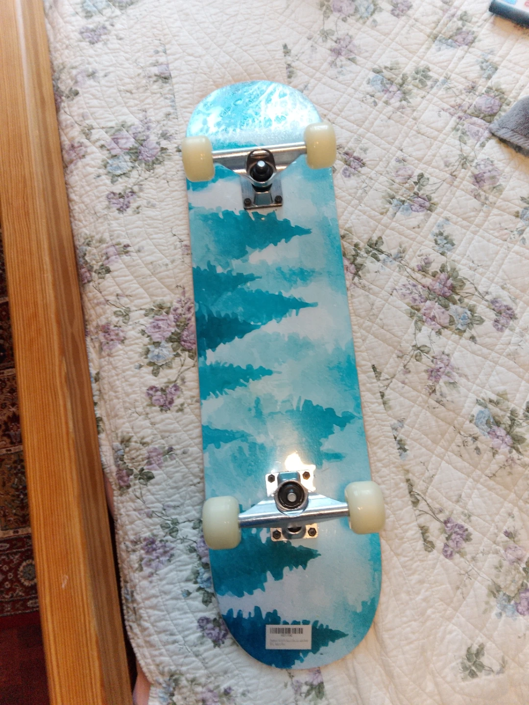 Dreambeauty 31x8 Inch Pro Skateboard