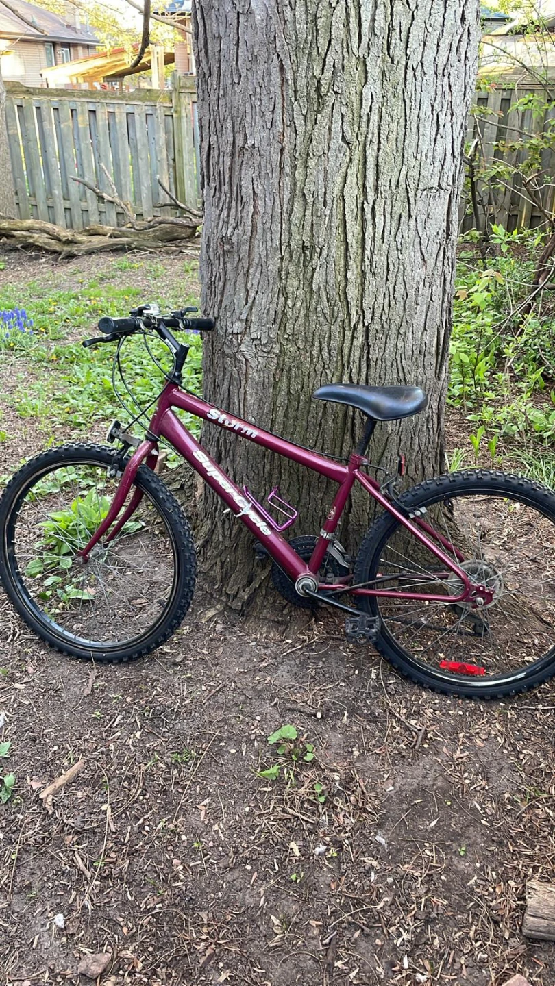 Supercycle Storm Mountain Bike