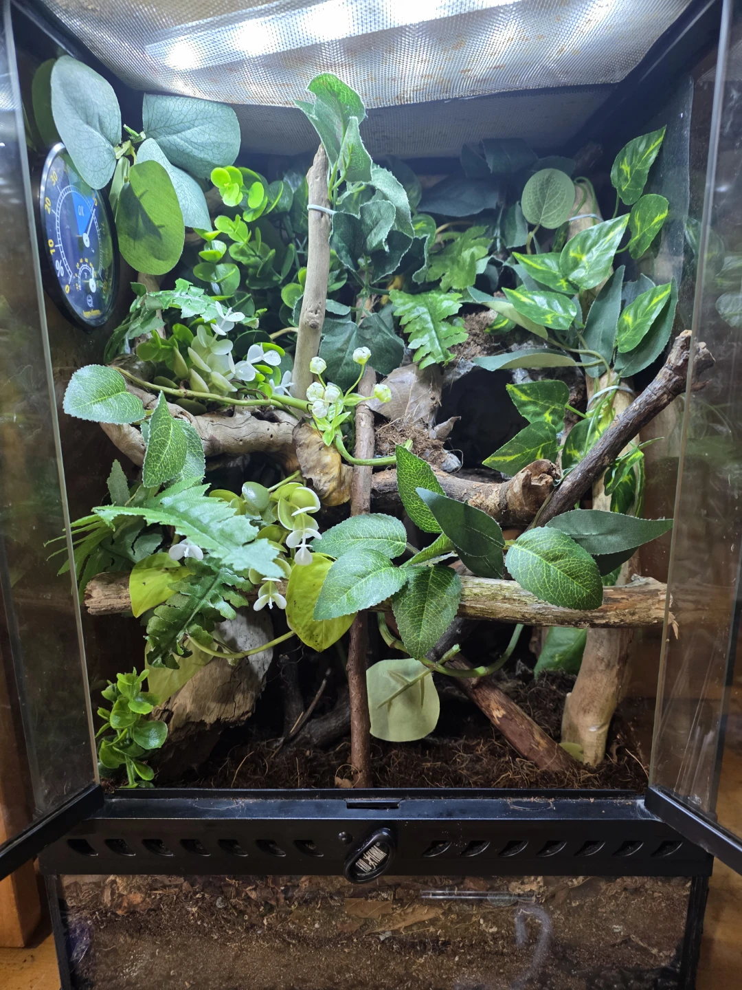 Terrarium with crested