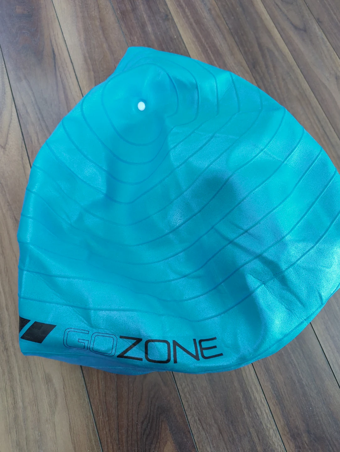 GoZone Blue Exercise Ball with Pump
