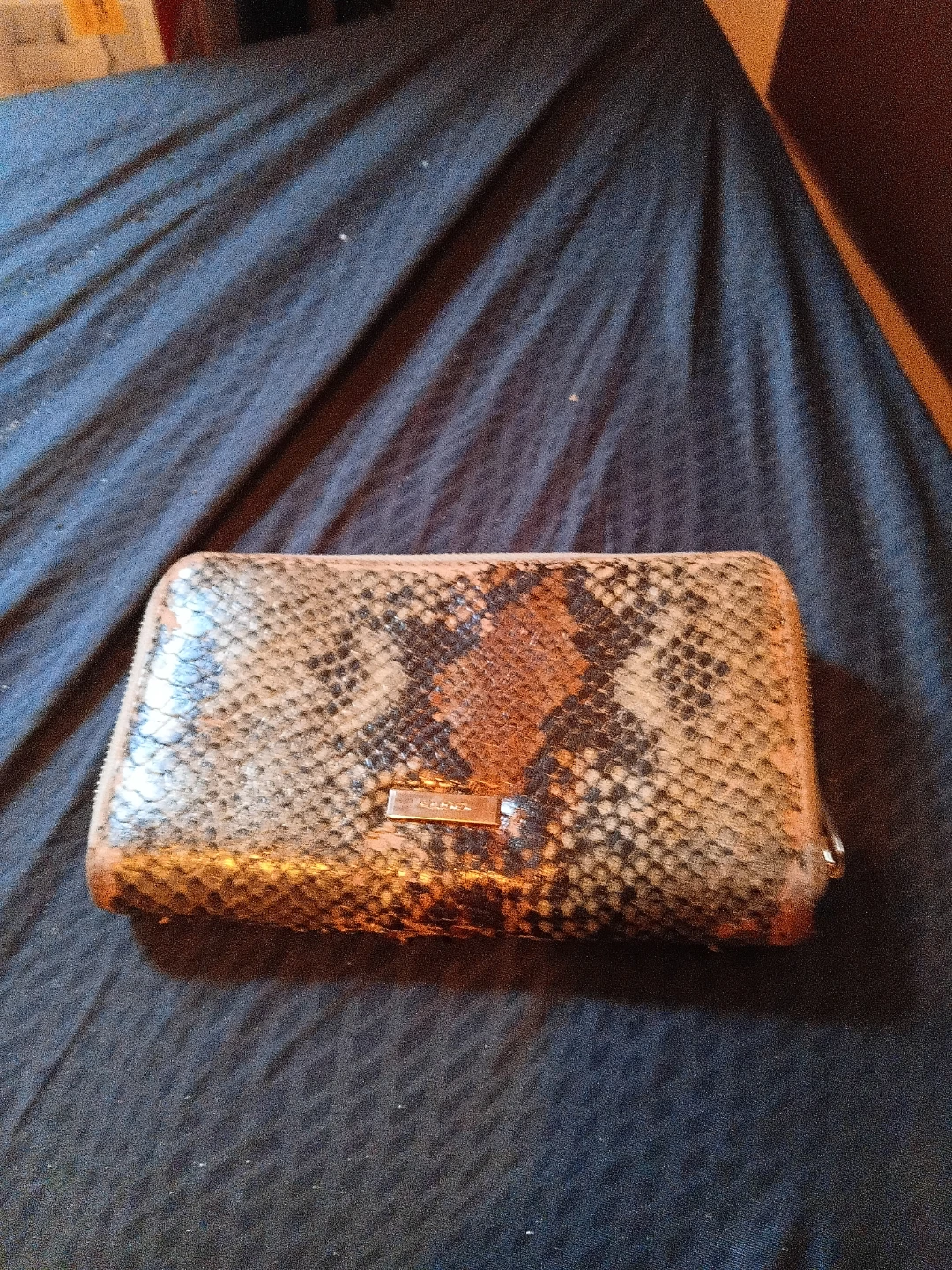 Snakeskin Print Zip Around Wallet Aldo